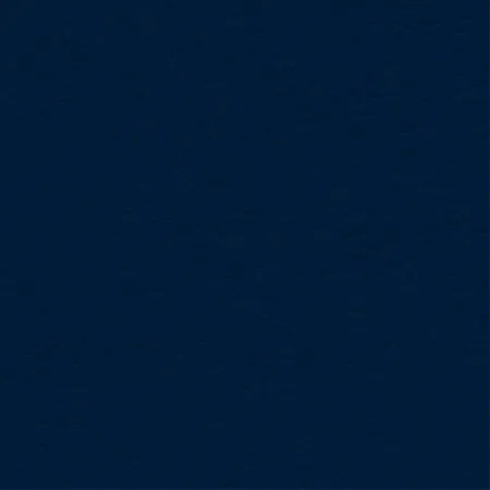 Coast Naval Blue 640-2776