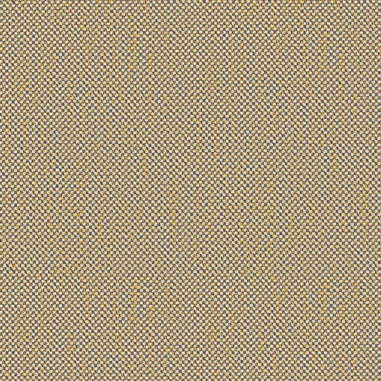 Damie 429.032 | B Category