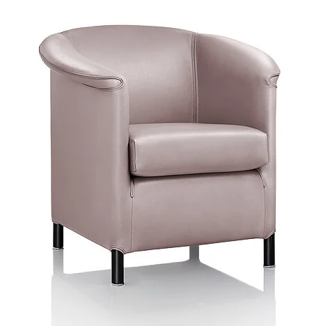 Wittmann AURA • Sessel