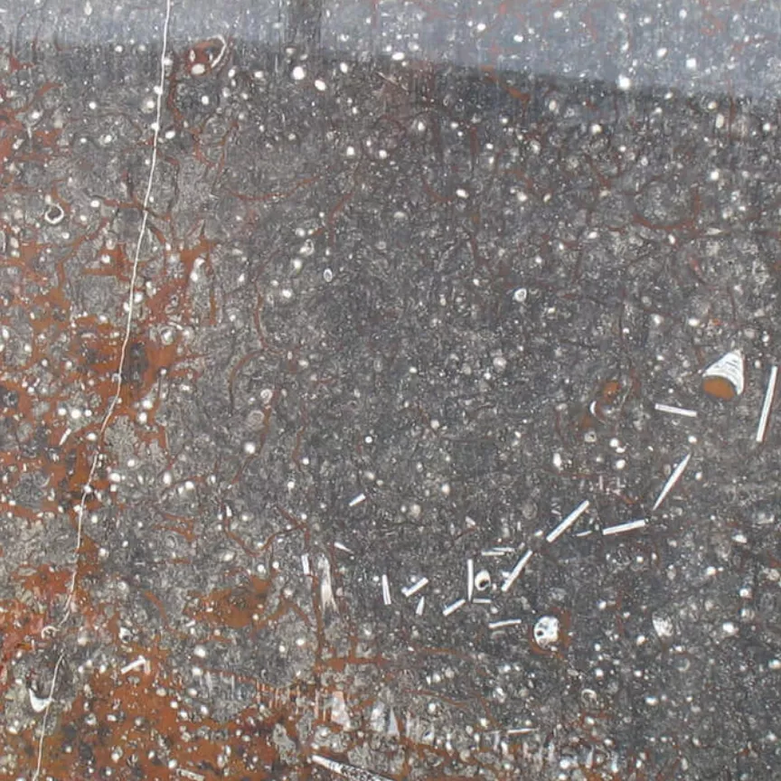 Kategorie 4a - Marokko Fossil