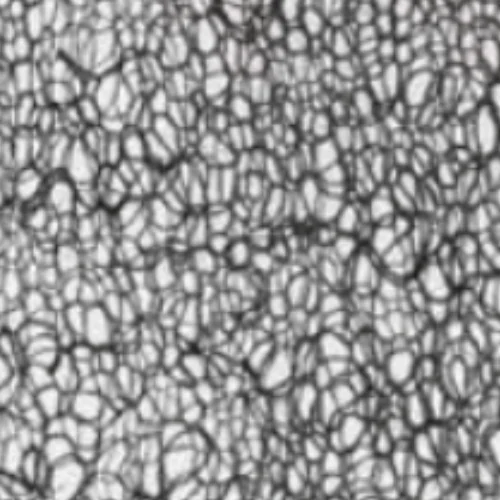 Sisal Net Black (/SNB/P)