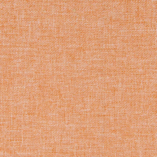 Pintail Orlando Orche