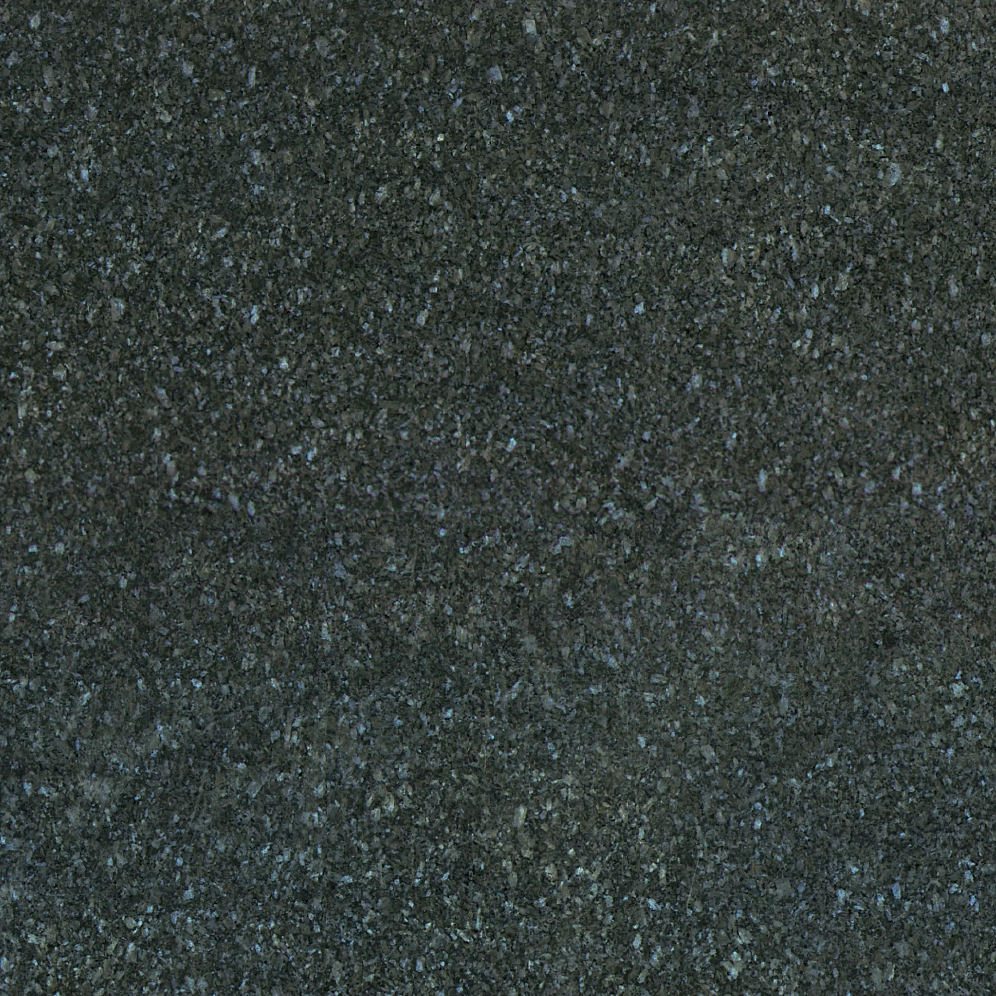 Kategorie 3 - Labrador Blue Pearl