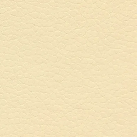 Coast Conch 640-3797