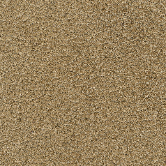 Leder E Scirocco Siena