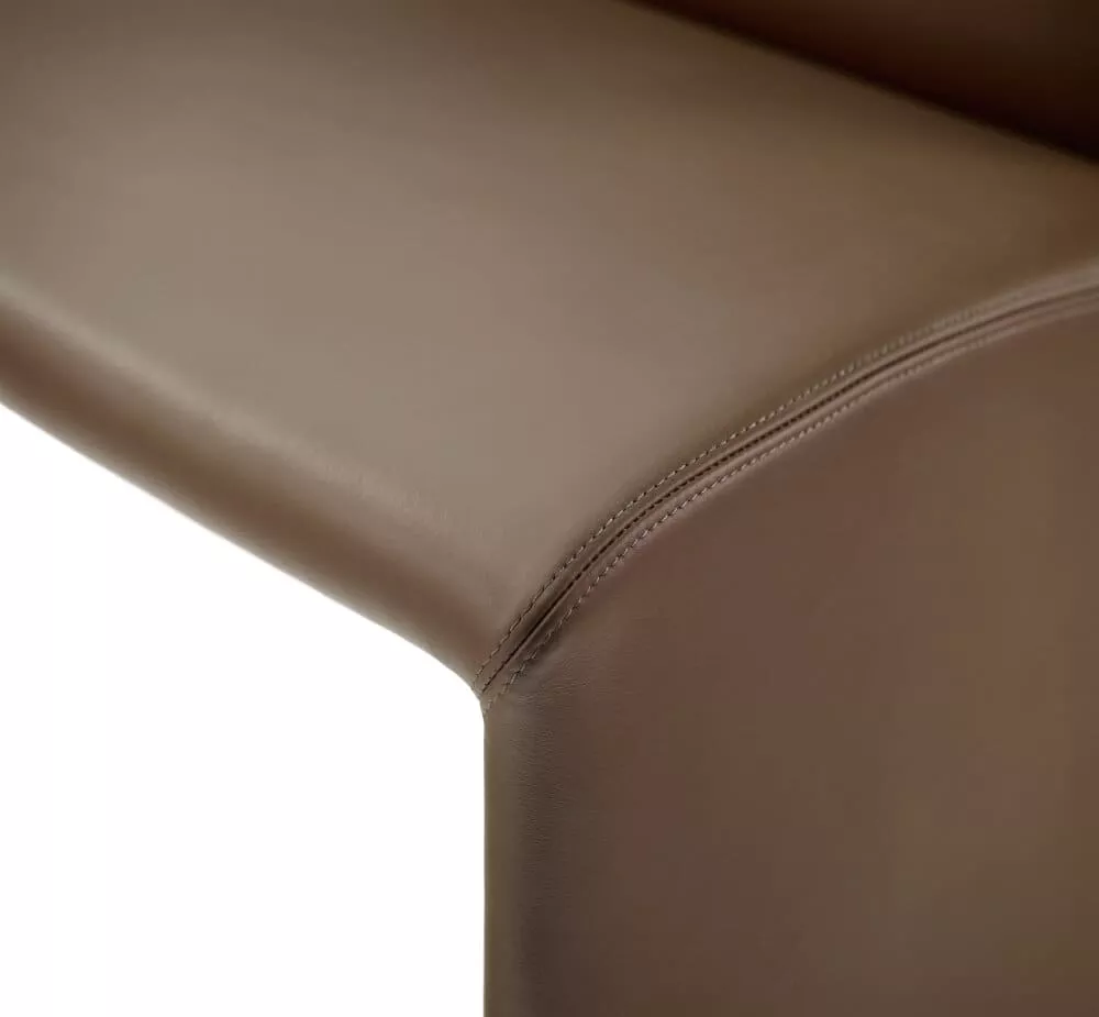 DRAENERT Nobile Bank 4-Sitzer Detailansicht der braunen Lederpolsterung ohne Hintergrund