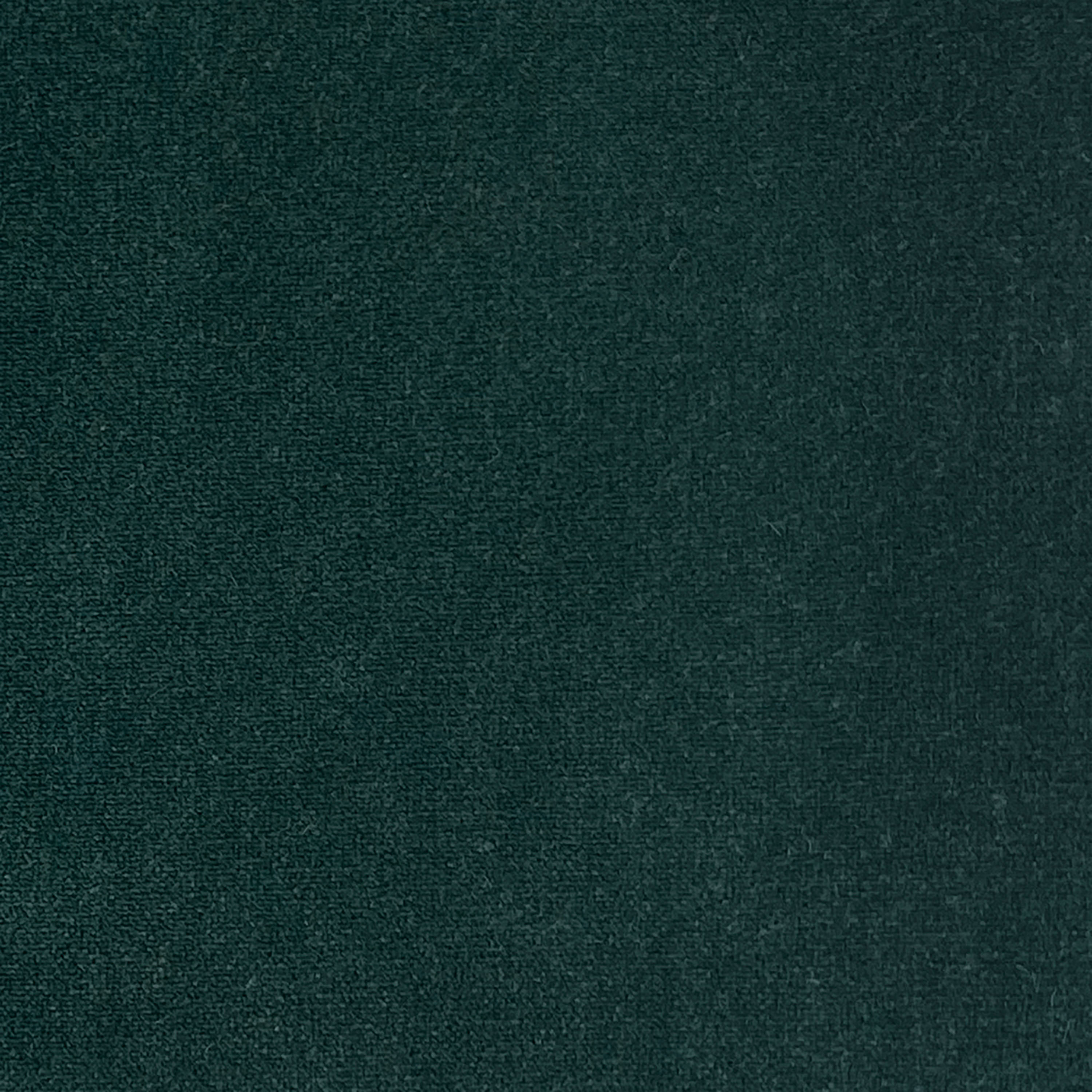 Kategorie Q A8859 Roxana - Cobalto