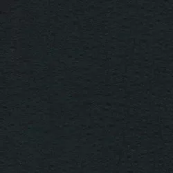 Leder Prestige Schwarz