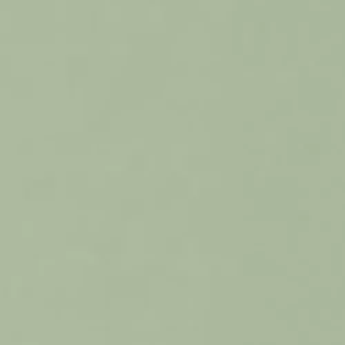 Buche mint - hochglanz