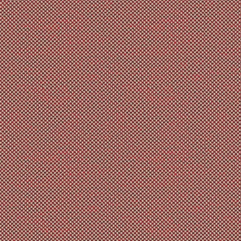 Damie 429.058 | B Category