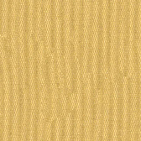 Solids & Stripes Hive 4000