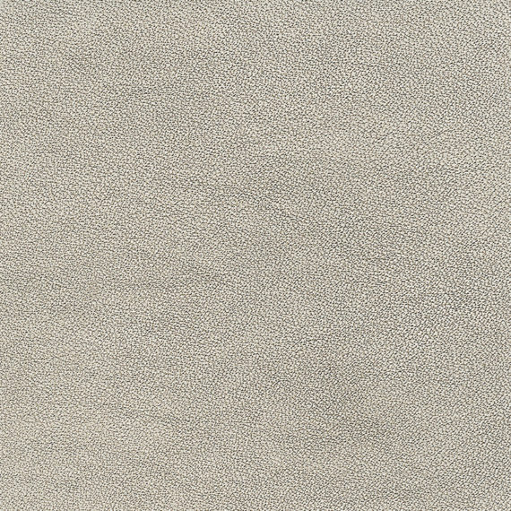 Leder E2 Föhn Pomice Copia