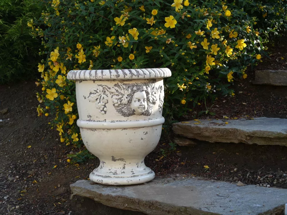 Französischer Terrakotta-Gartengefäß "Languedoc Bacchus" in Cremeweiß, 60 oder 80 cm, auf einer Steintreppe vor gelben Blumen.
