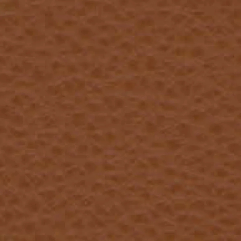 Leder Cat. Premium - Polar 398