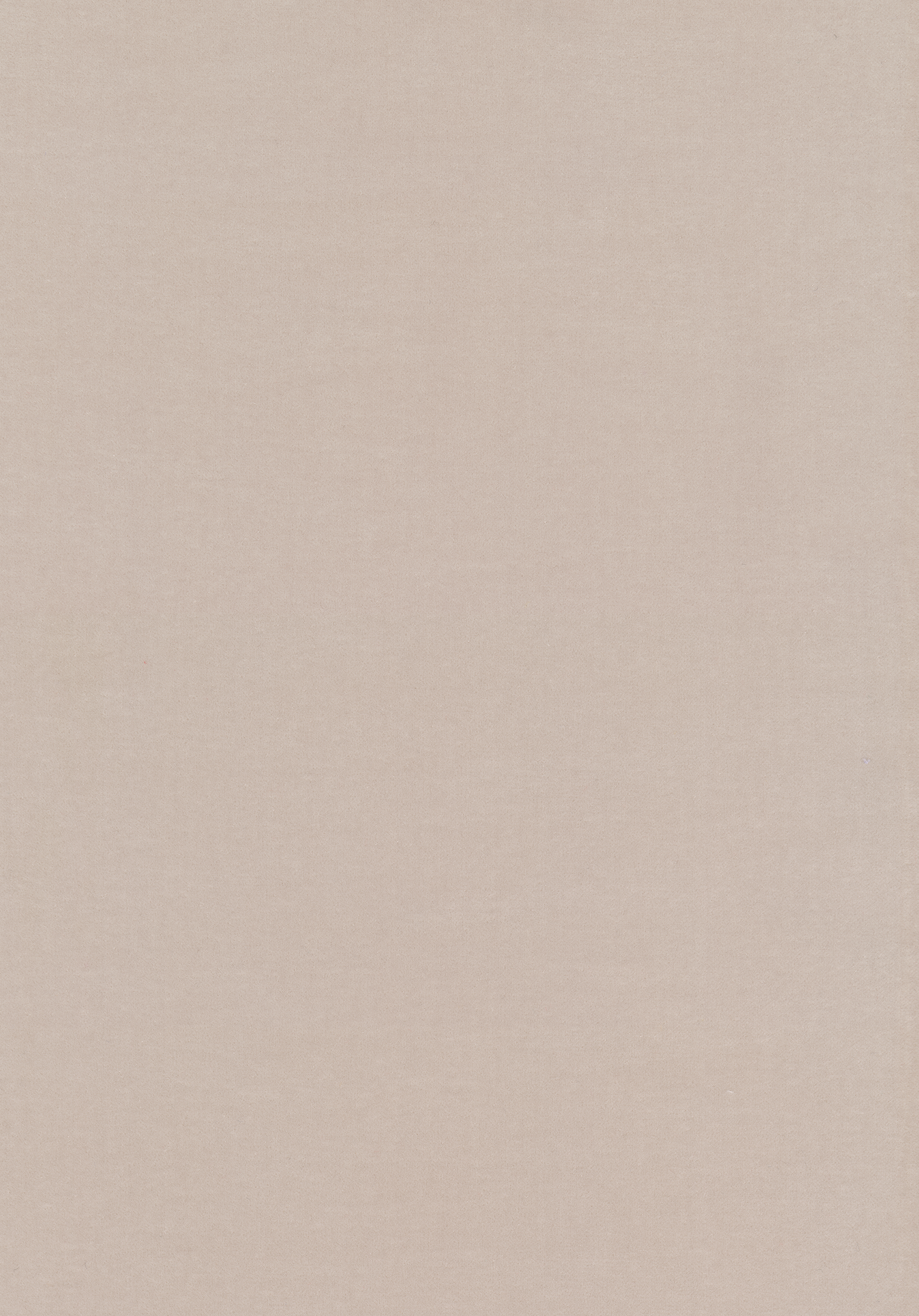 Kategorie W A7778 Harald - Beige