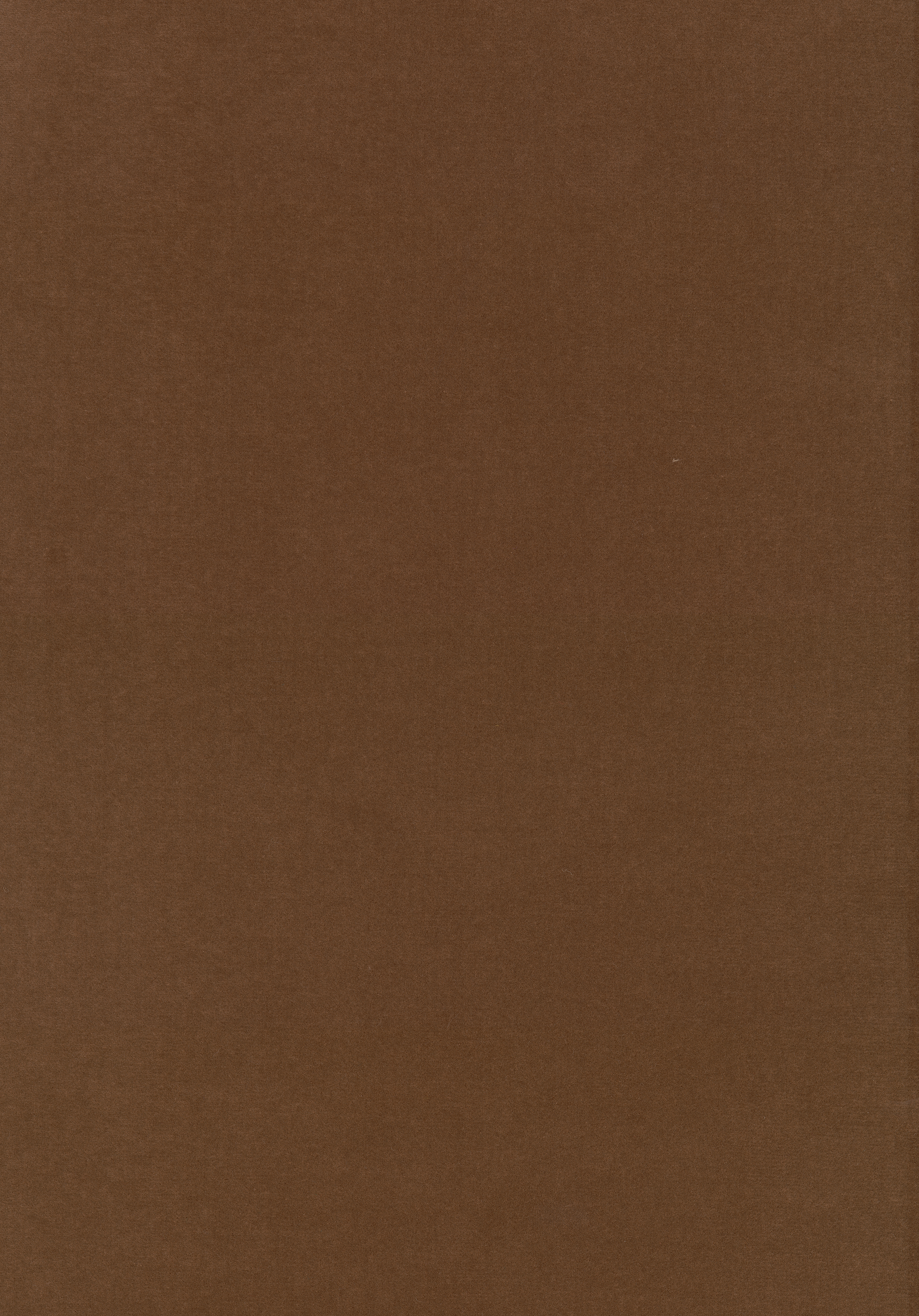 Kategorie W A5997 Harald - Nocciola