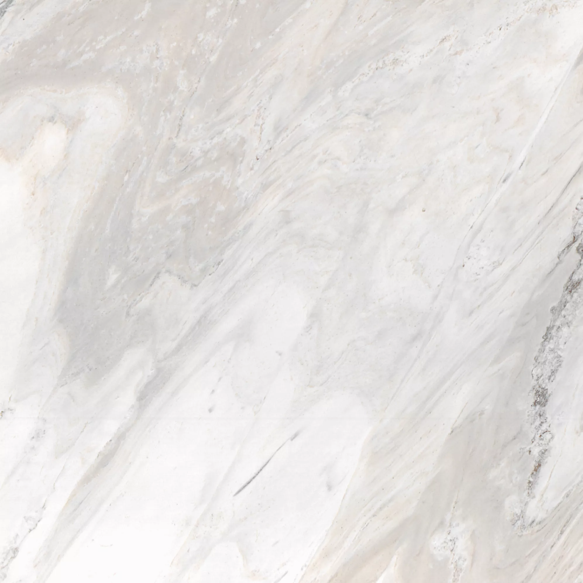 Kategorie 4 - Palisandro