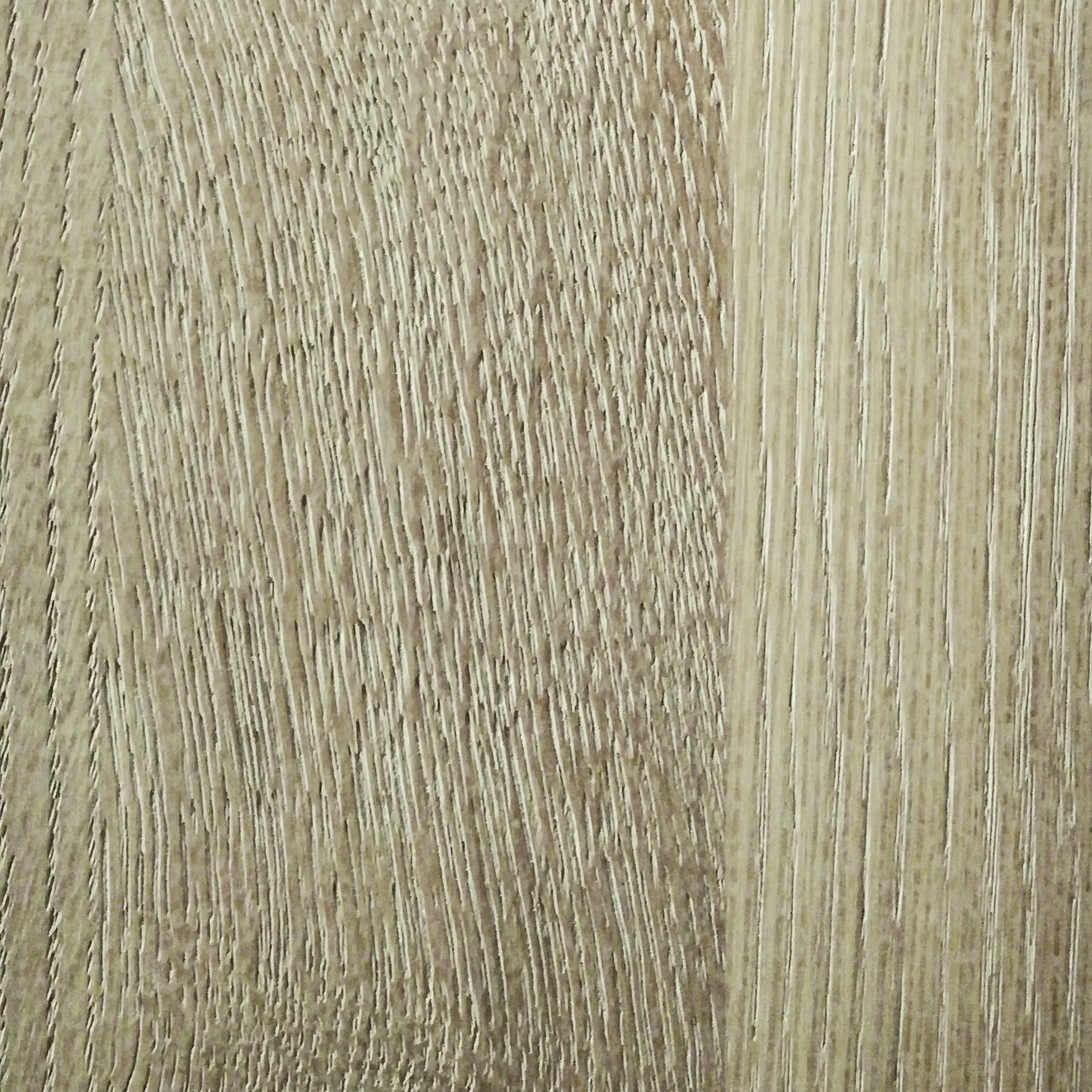 Eiche ohne Knoten: Milchweiß