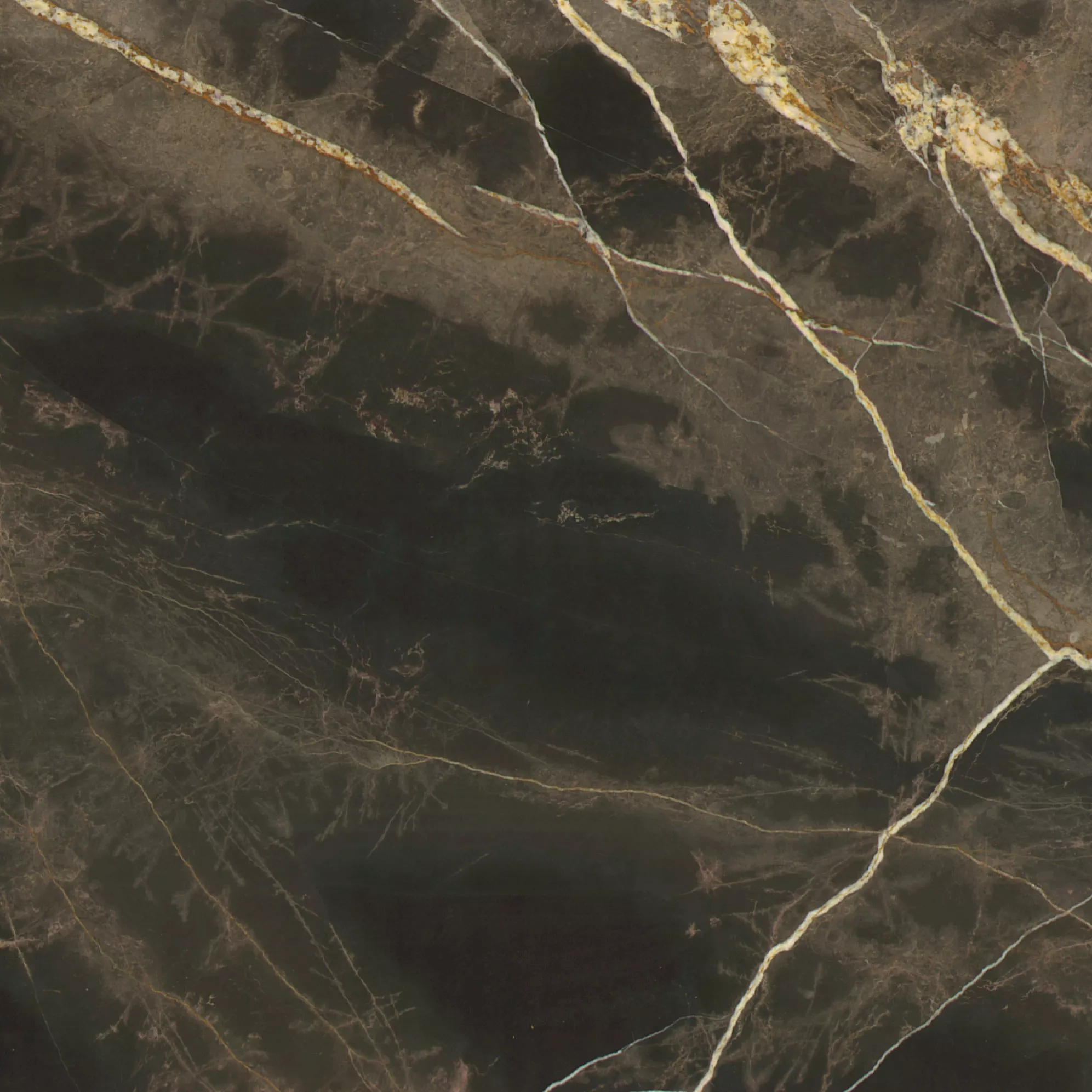 Kategorie 4a - Sahara Brown