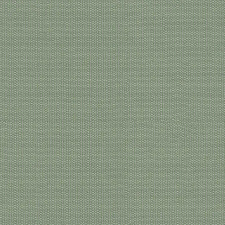 Solids & Stripes Celadon P103