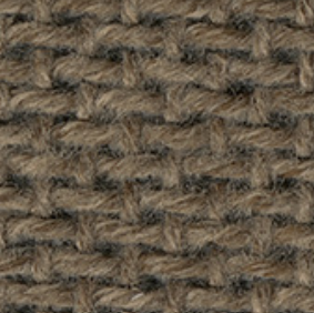 Autumn AU00361
