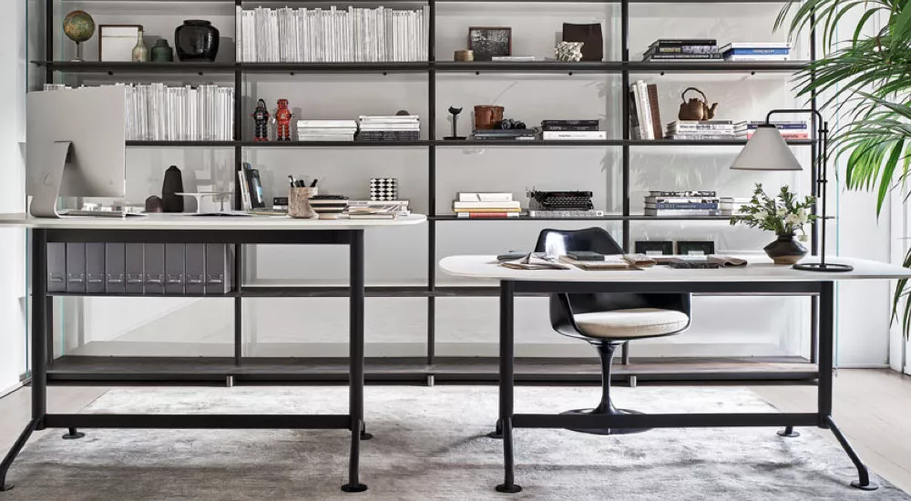 Moderne Büroumgebung mit zwei Schreibtischen, Bücherregal im Hintergrund, Pflanzen und stilvollen Accessoires auf hellem Teppich.