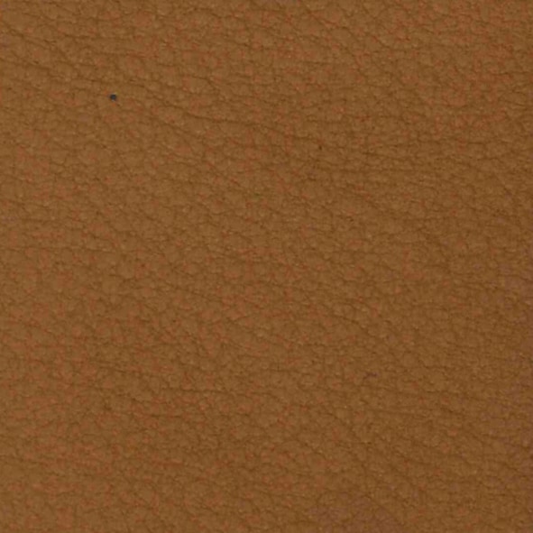 Leder E Mistral Biscotto