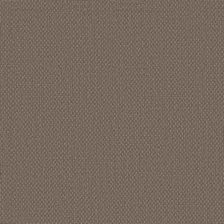 Guatemala Castoro | B Category