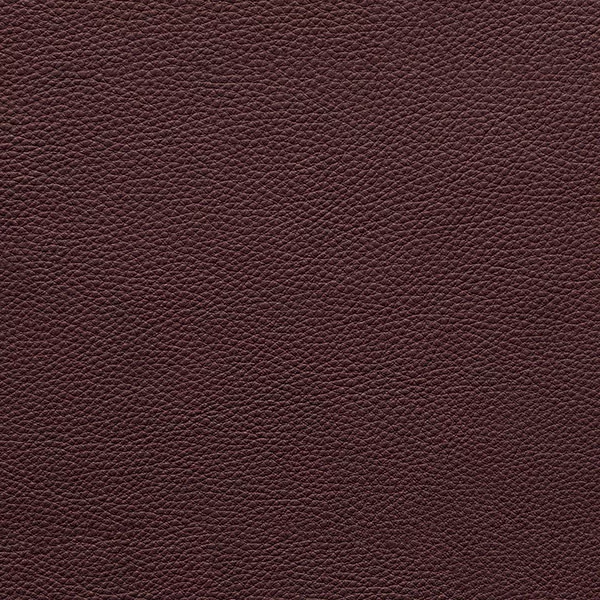 Pietra di Sole | Nest