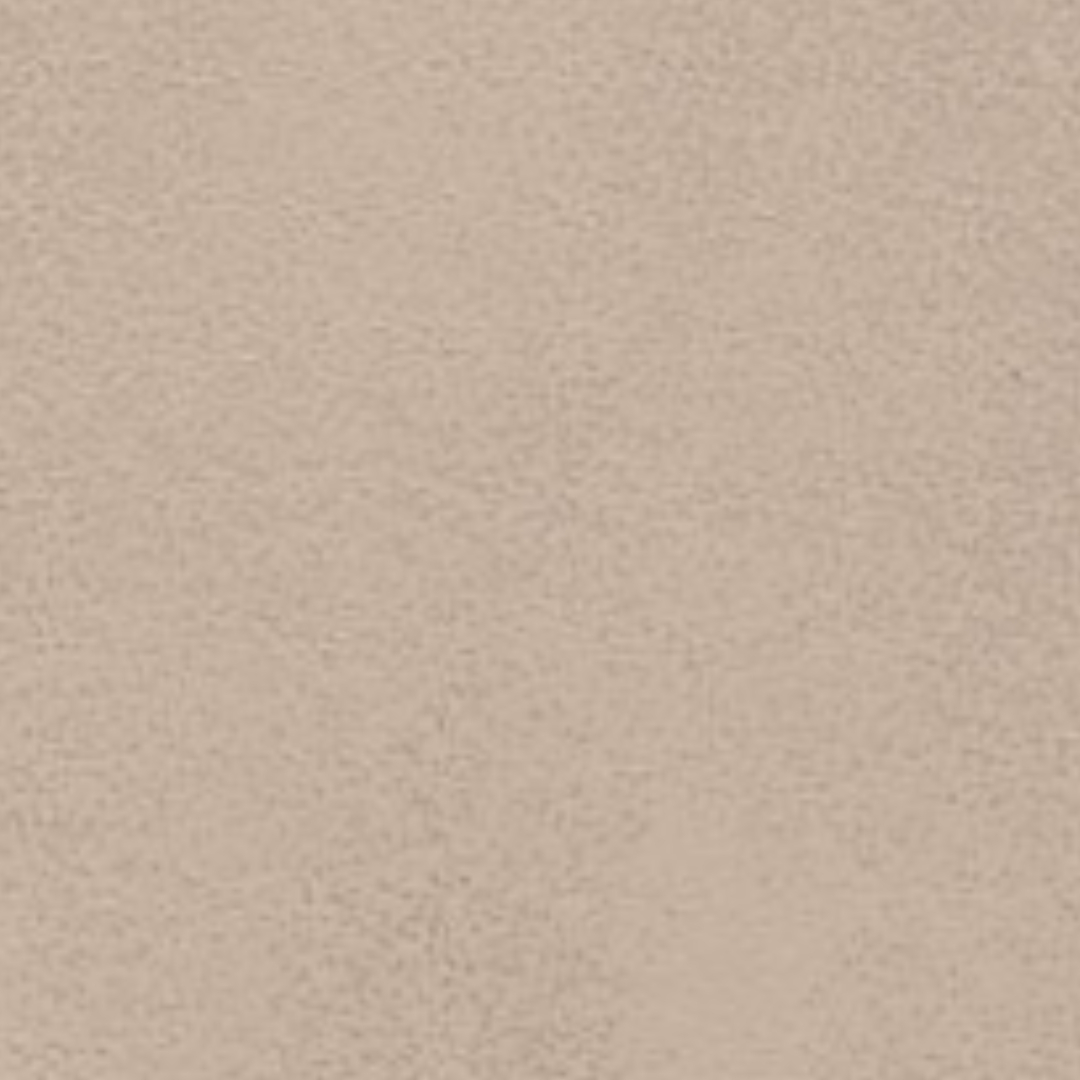 Cat.90 Cuoio pigmentato 0811