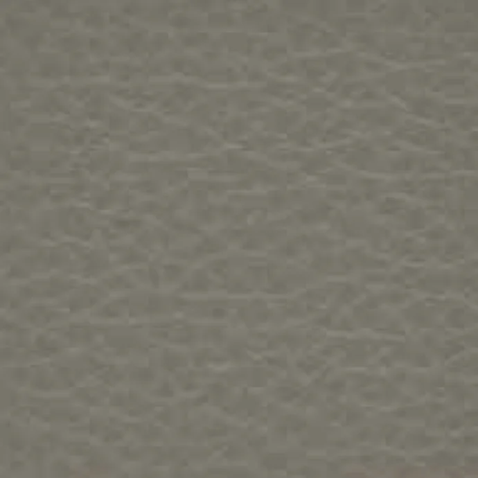 Leder Cat. Premium - Polar 210