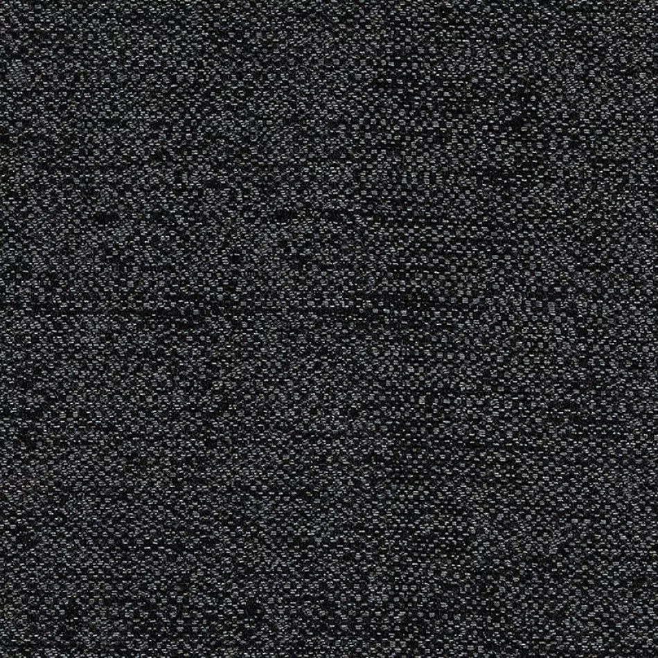 Chartres Sooty - CHA2 J182 140