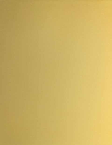 Polished Gold Plated