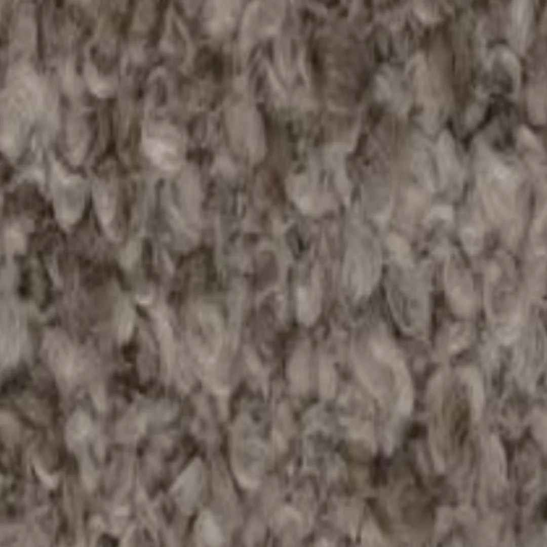 Suances Tortora 10302