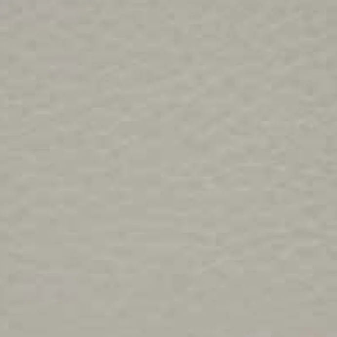 Leder Cat. Premium - Polar 209