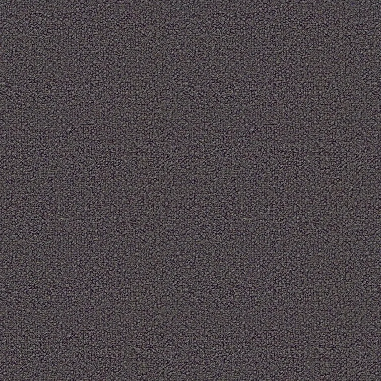 Loop Blu | B Category