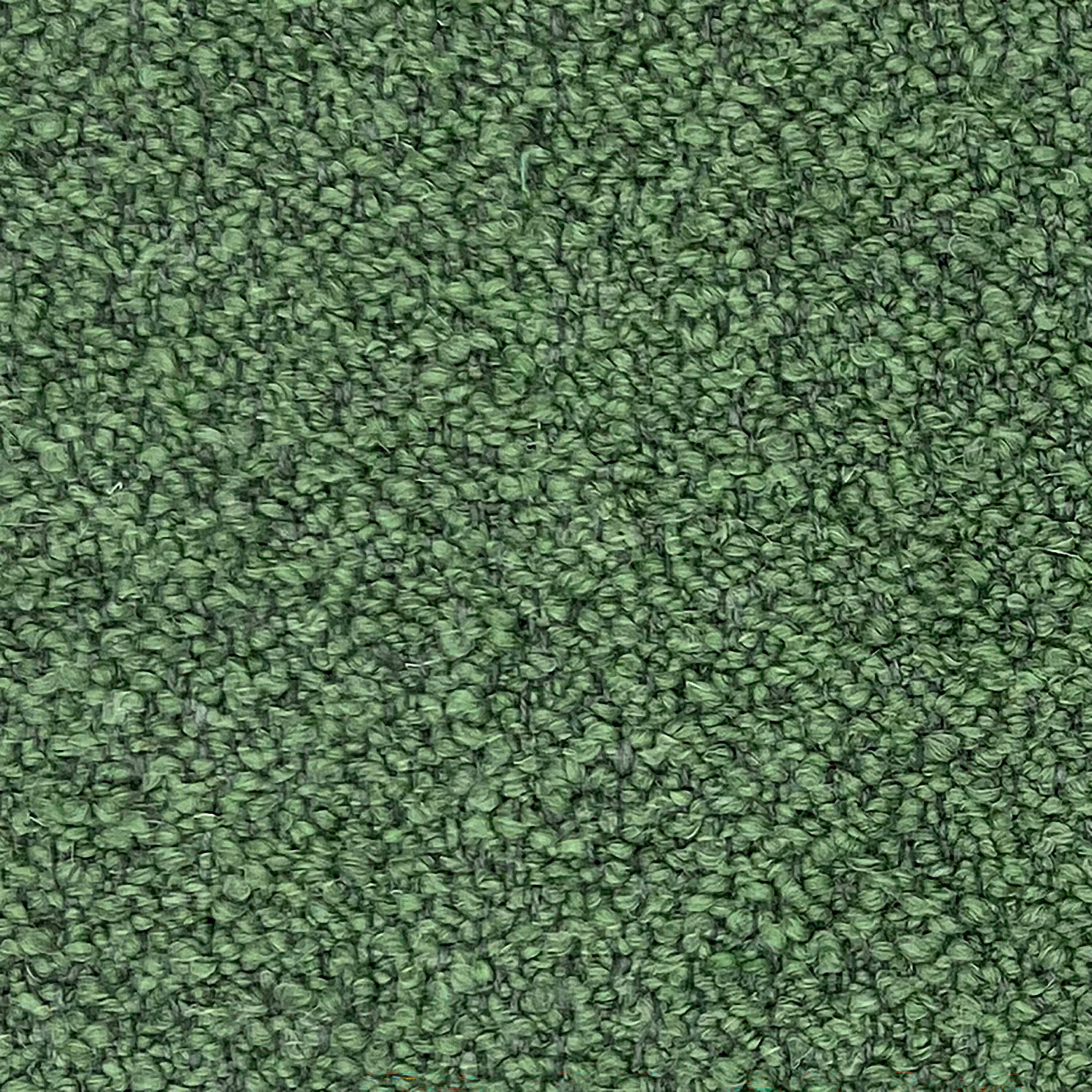 Kategorie S A8841 Orsetto - Verde