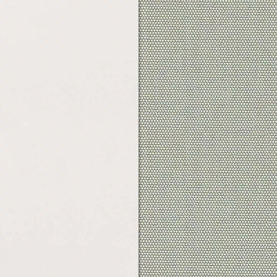 Arctic White / Seagull