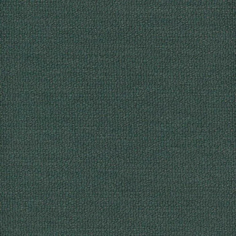 Kalahari Forest | C Category