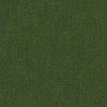 Solids & Stripes Calathea 3999