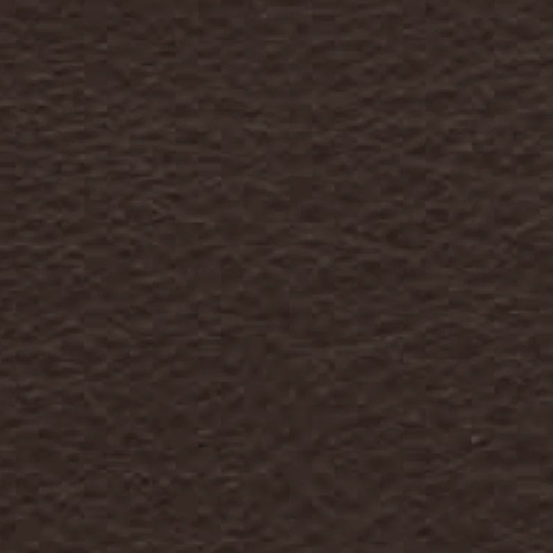 Leder Cat. Top - Tokio 500