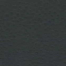 Leder Prestige Anthrazit