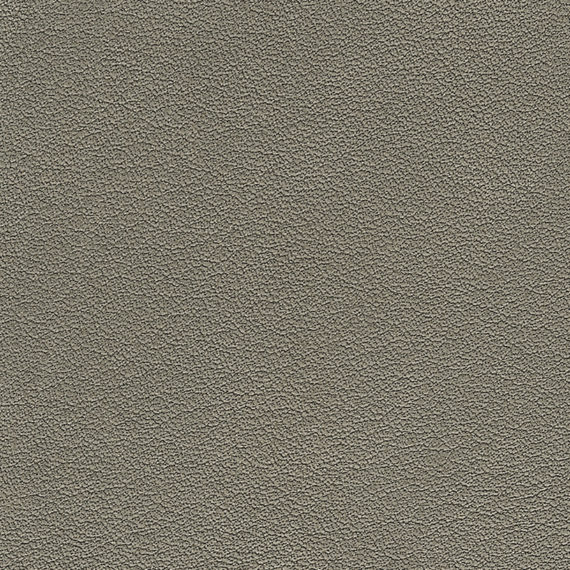 Leder E2 Föhn - Ardesia