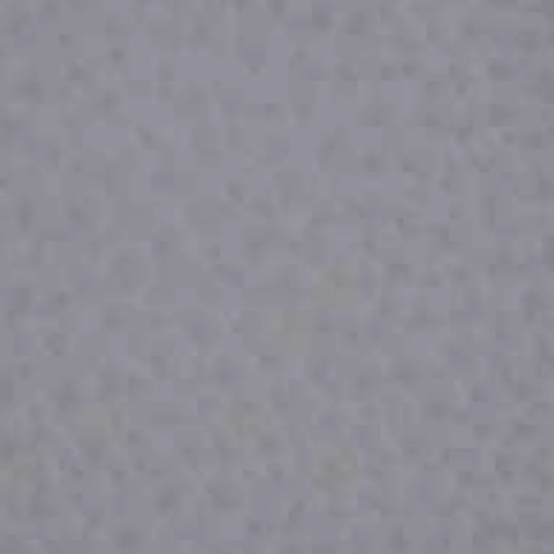 Leder Cat. Premium - Polar 281