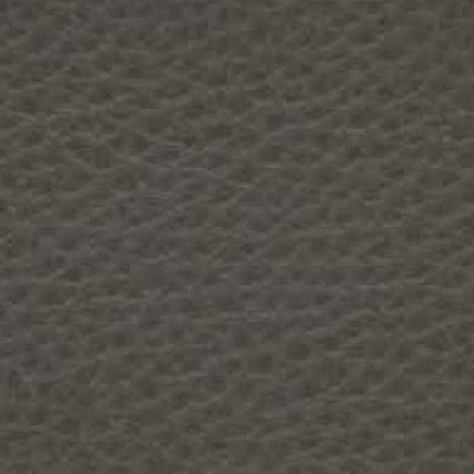 Leder Cat. Premium - Polar 211