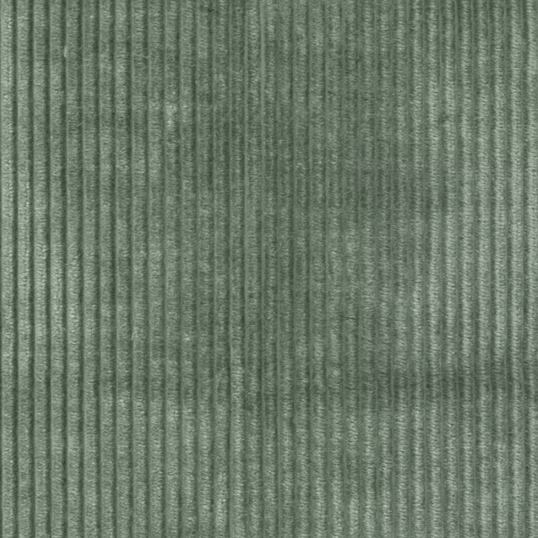 C-Corduroy Celebrity