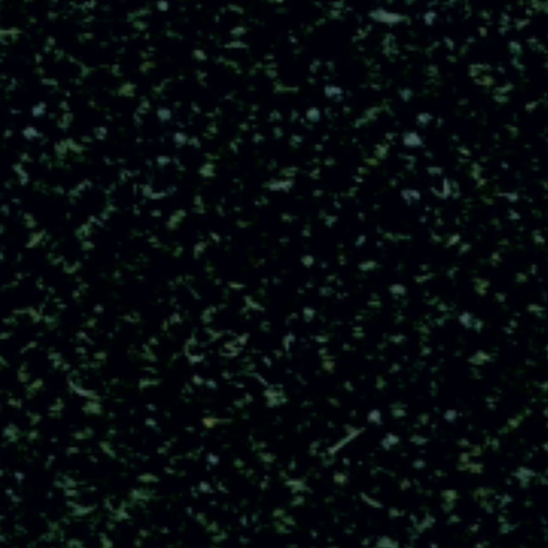 Cat.40 Quantum 40548