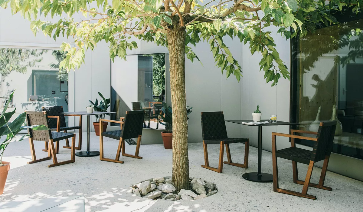 Andreu World Stühle in Schwarz mit Holzrahmen auf einer sonnigen Terrasse mit Baum und modernen Tischen im Hintergrund.