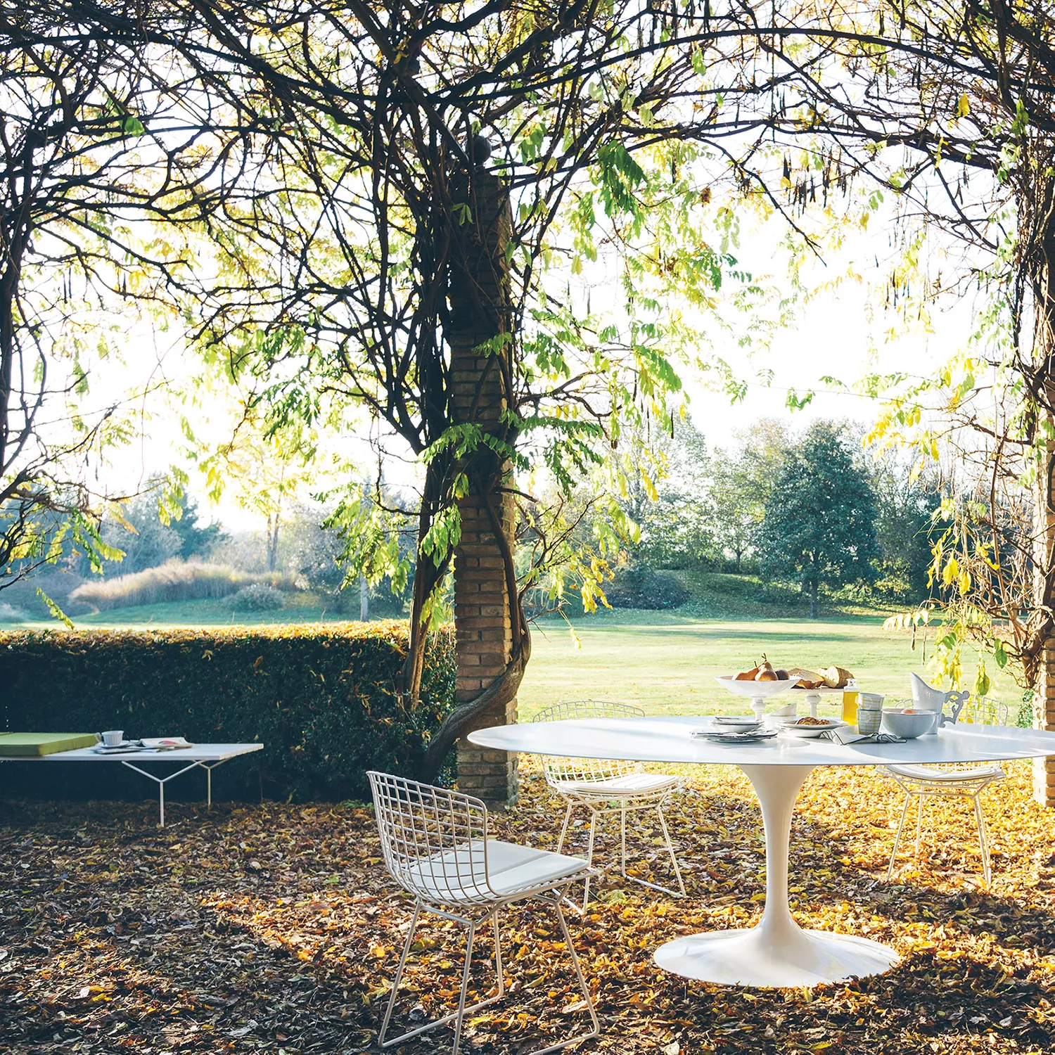 Knoll Harry Bertoia Lattenbank mit Akryl und Tisch mit Stühlen in einem herbstlichen Garten mit Laub und Bäumen im Hintergrund