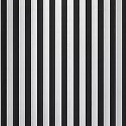 streif 3 schwarz weiss